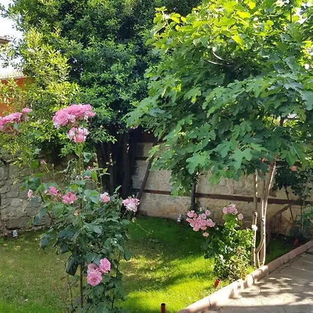 Penzion Nikoli 3*