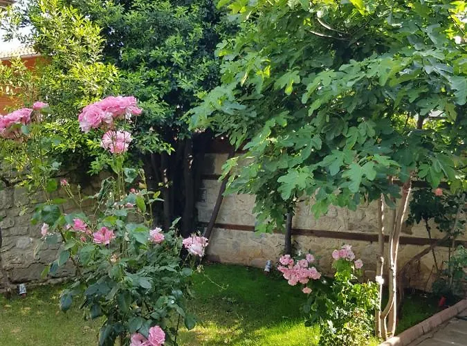 Vendégház Nikoli 3*